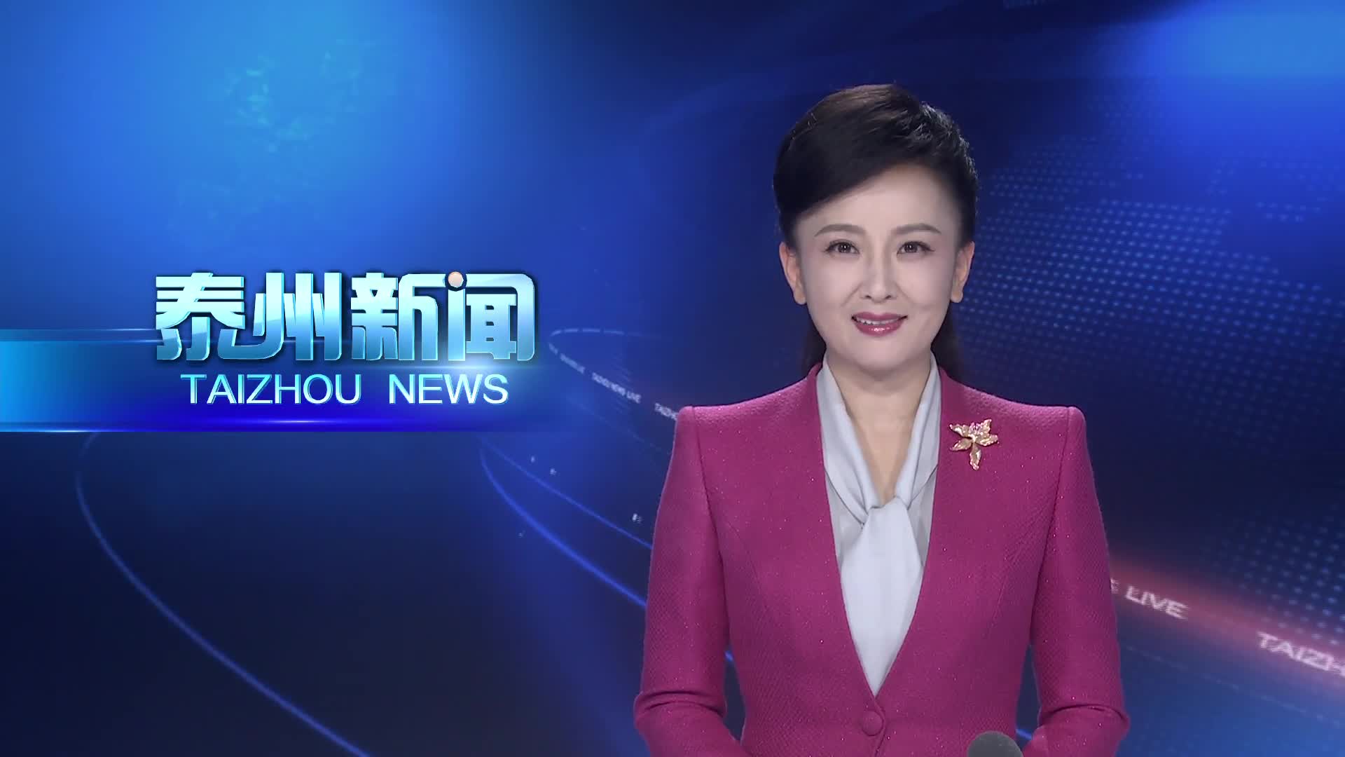 全市“两优一先”表彰会议召开